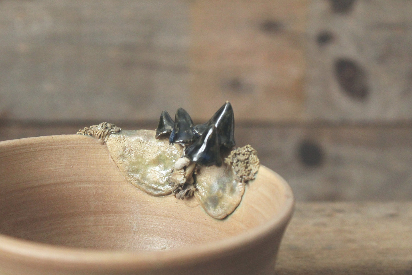 Ciotola scura in gres con funghetti blu e muschio