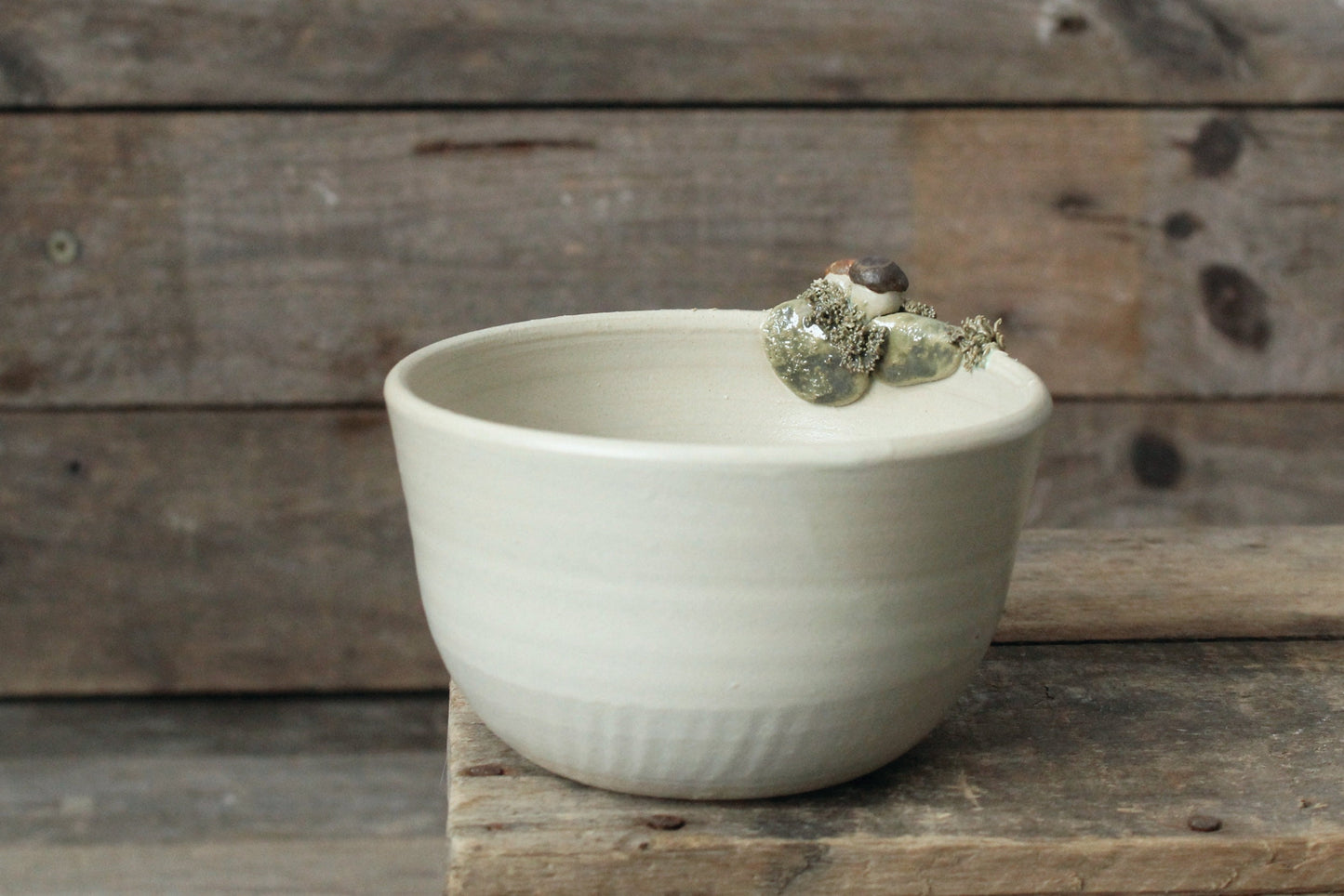Ciotola in gres decorata con funghi porcini e muschio