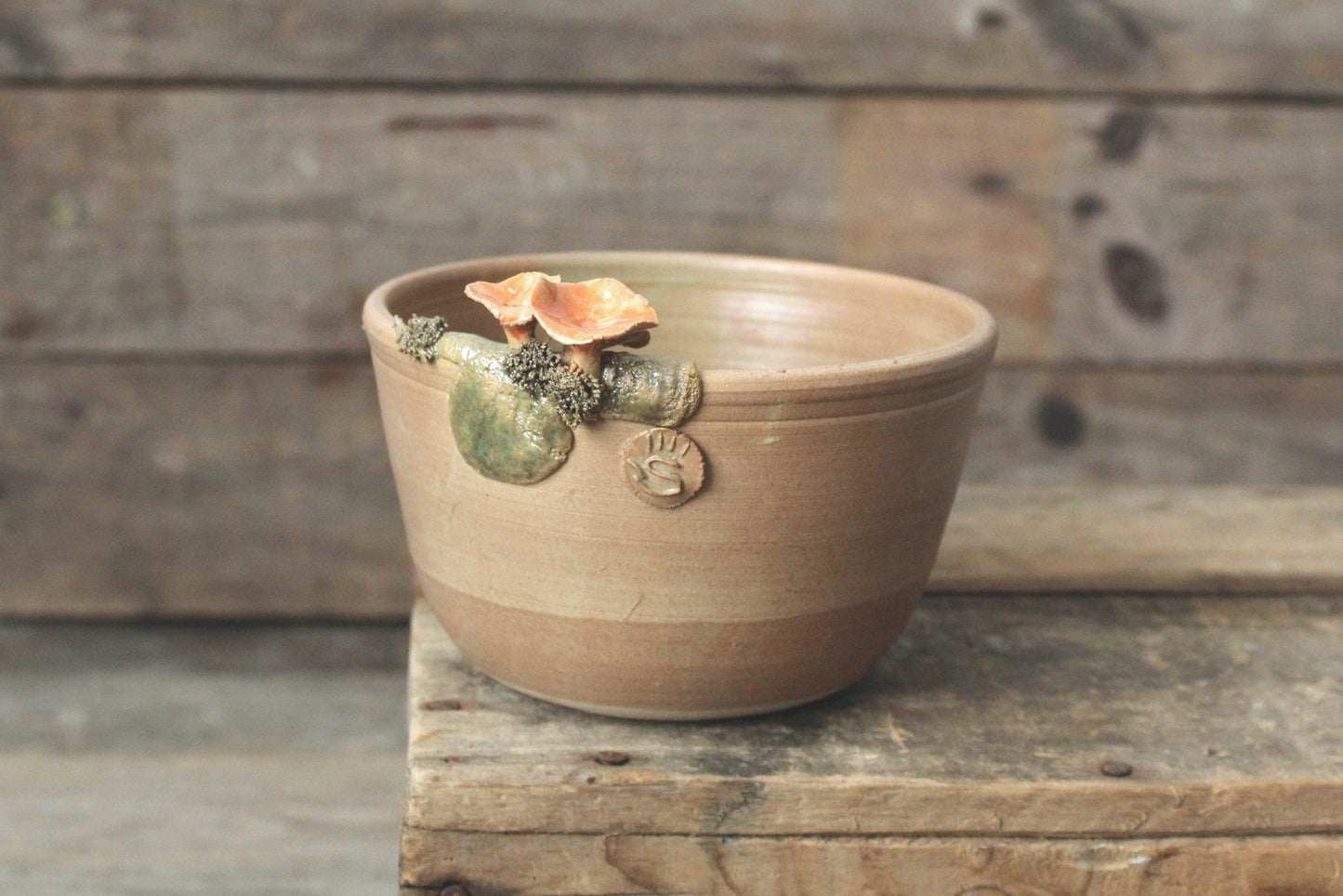 ciotola con cantharellus e muschio smalto scuro