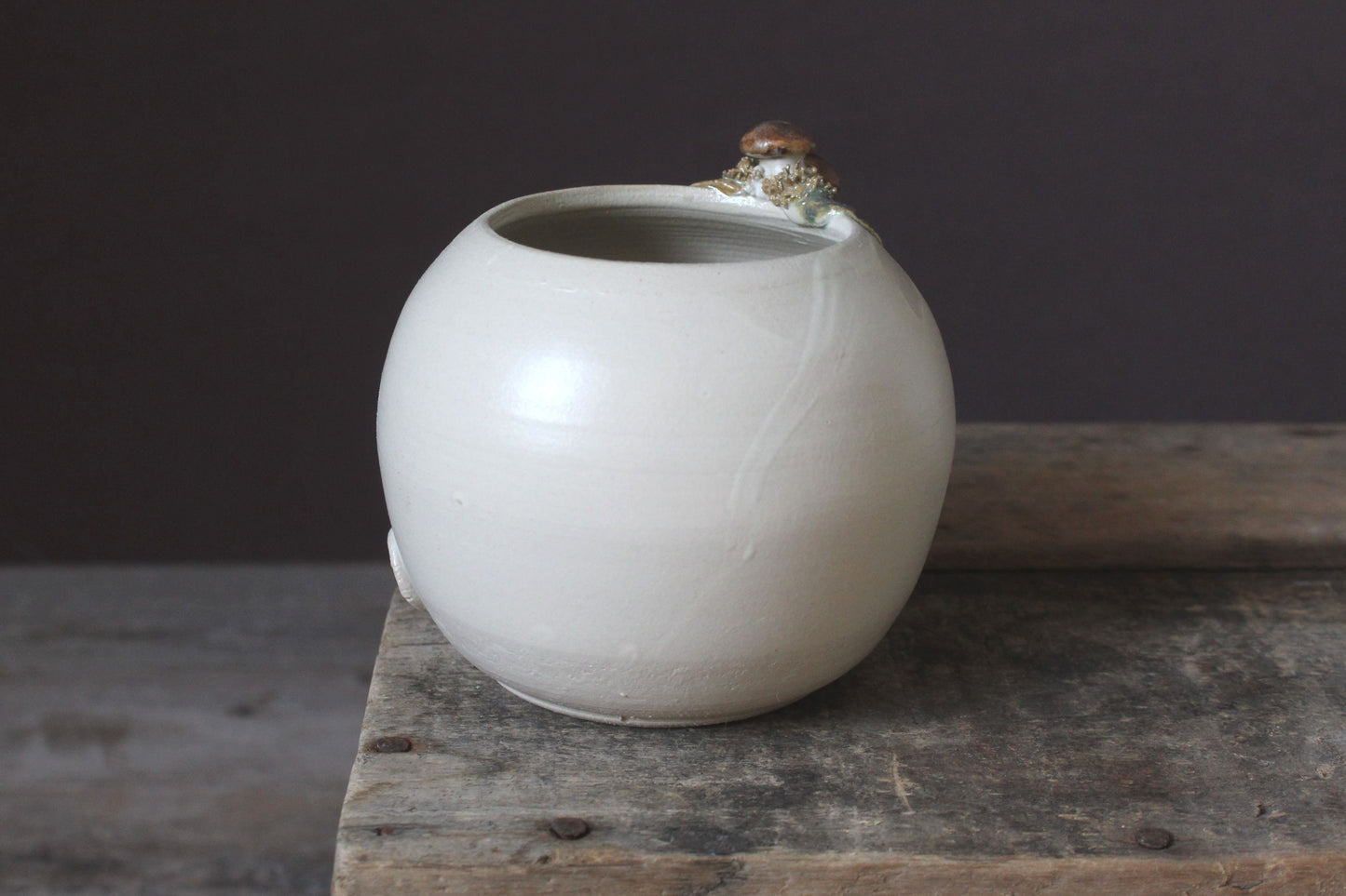 Boletus -  vaso in gres con funghetti e muschio