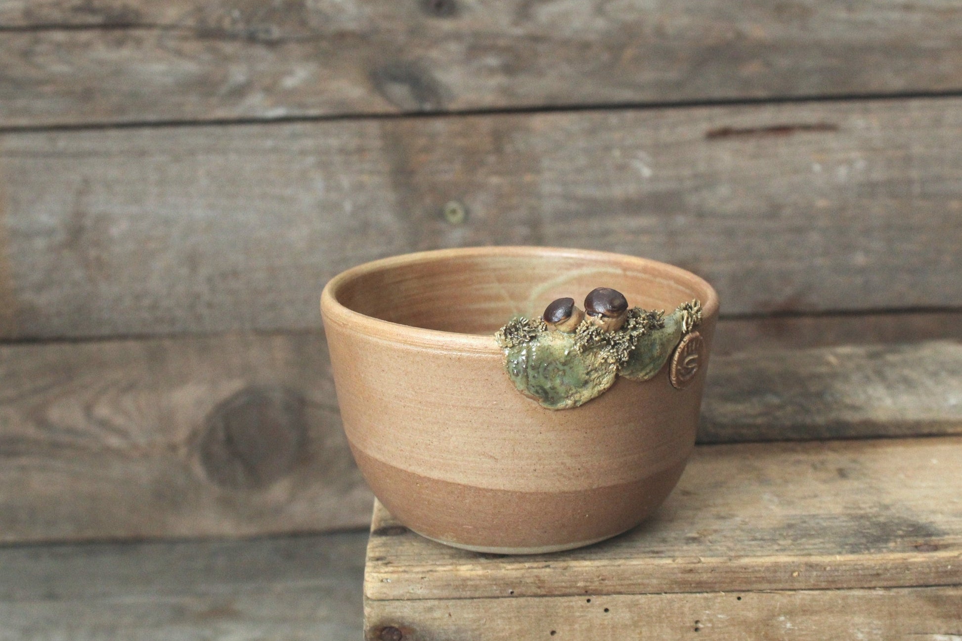 Ciotola in gres decorata con funghi porcini e muschio