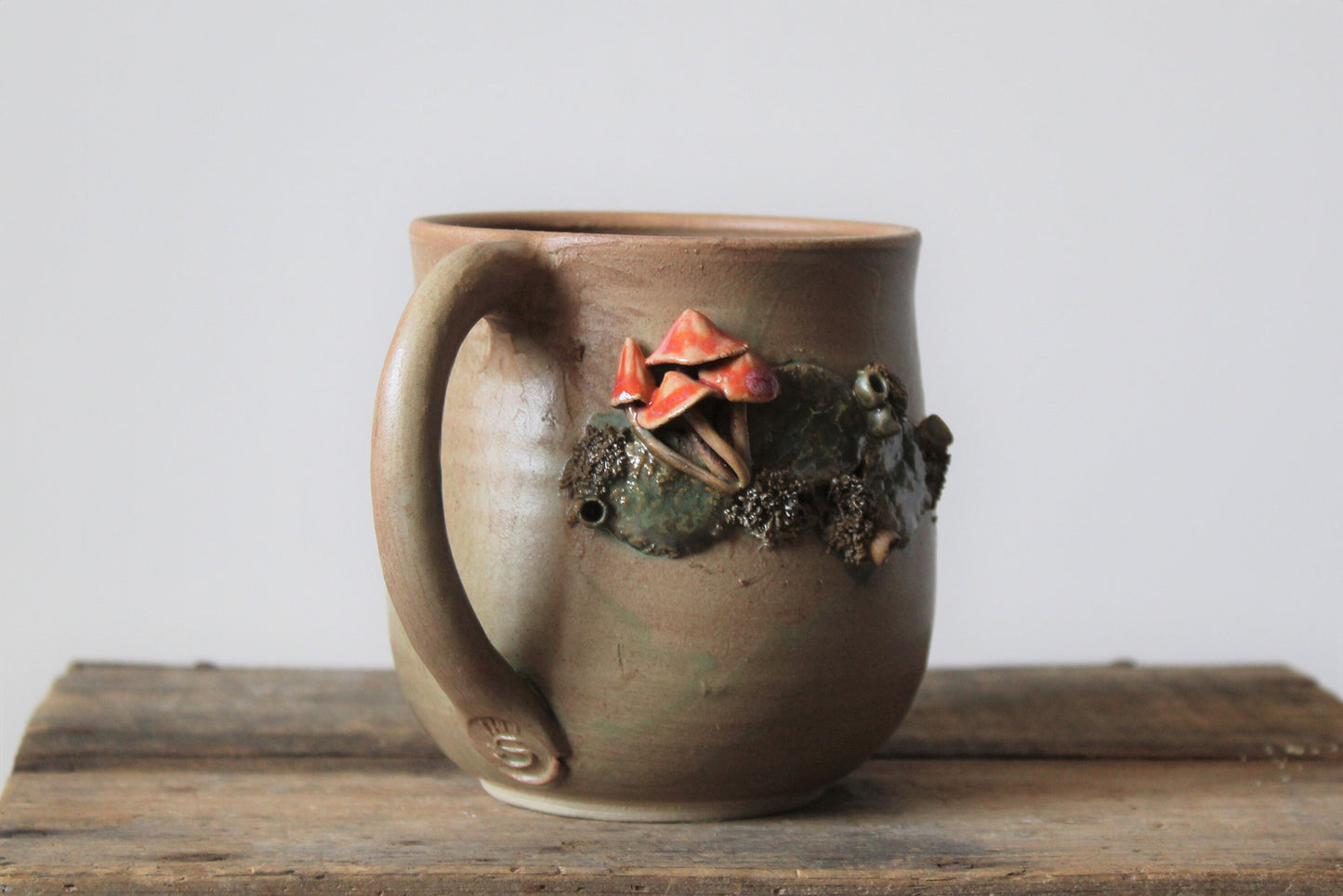 Tazza funghi e muschio 