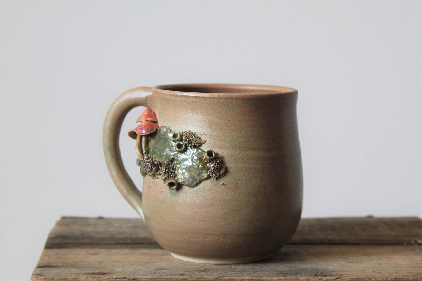 Tazza funghi e muschio 