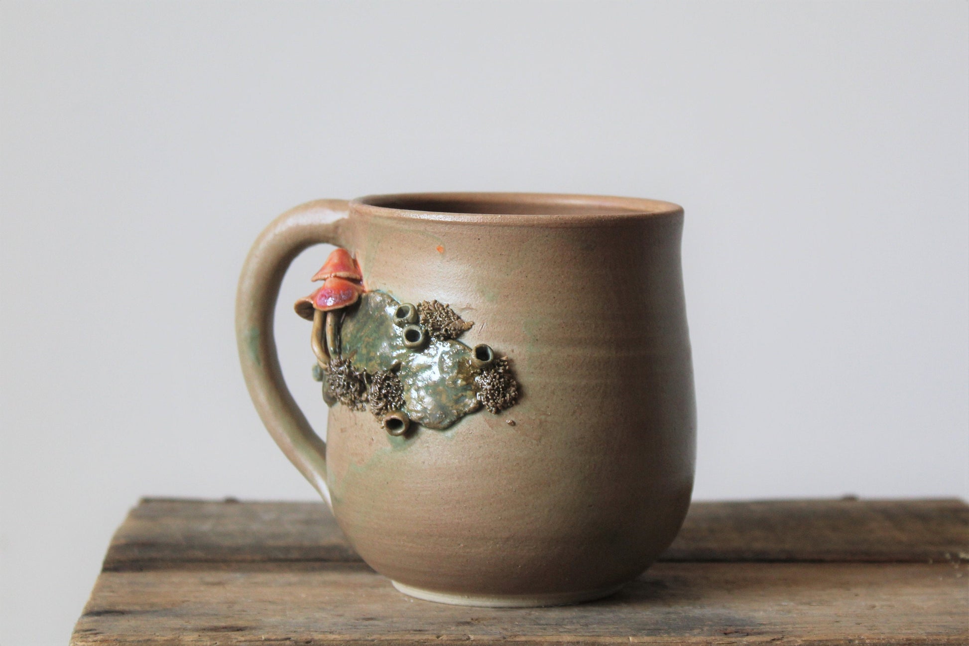Tazza funghi e muschio 