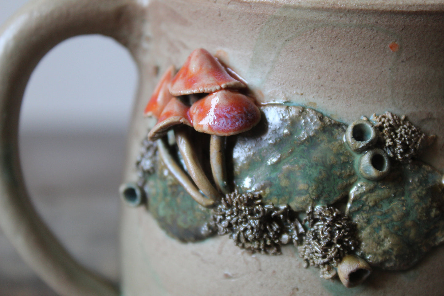 Tazza funghi e muschio dettaglio