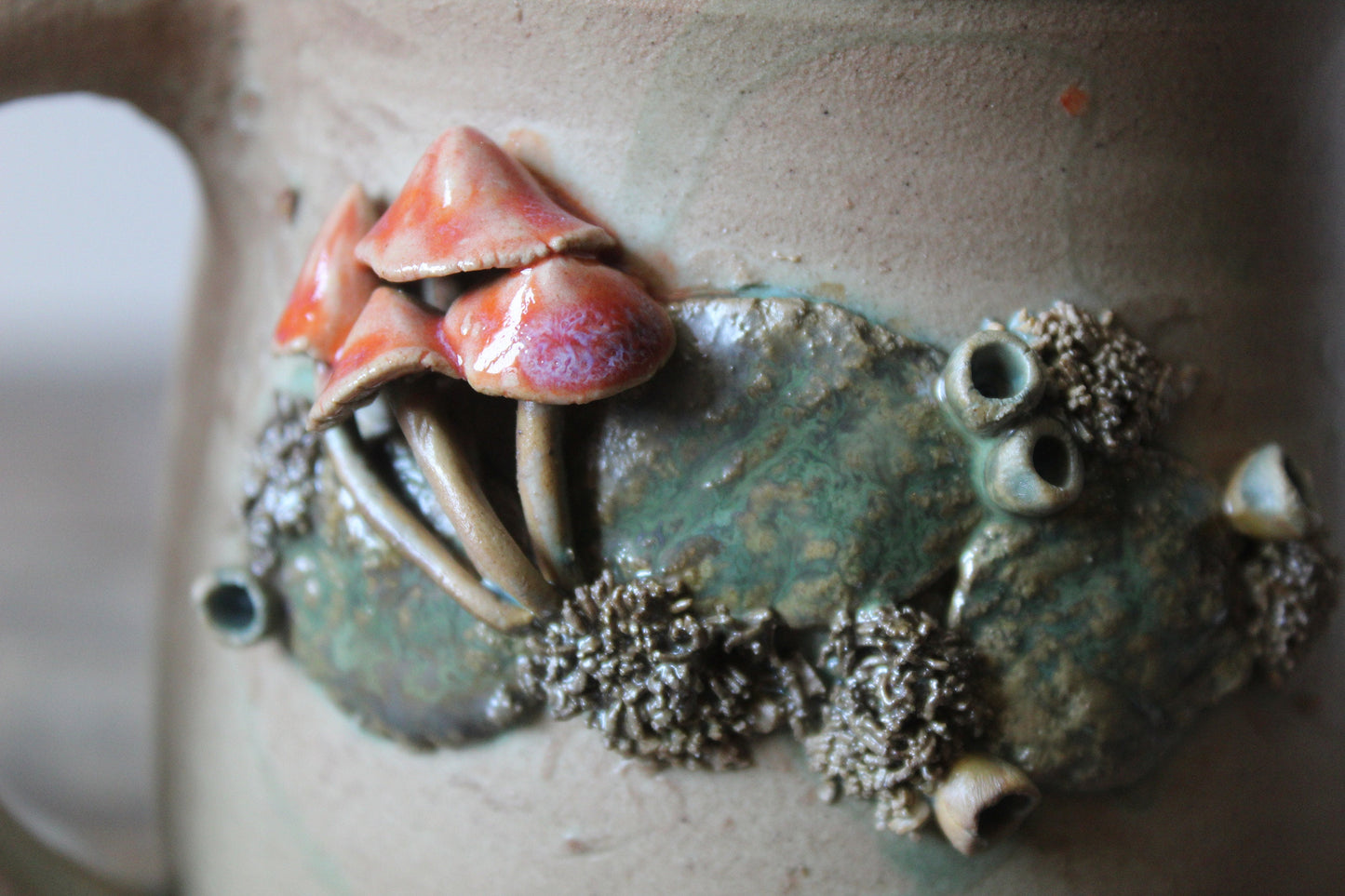 Tazza funghi e muschio 