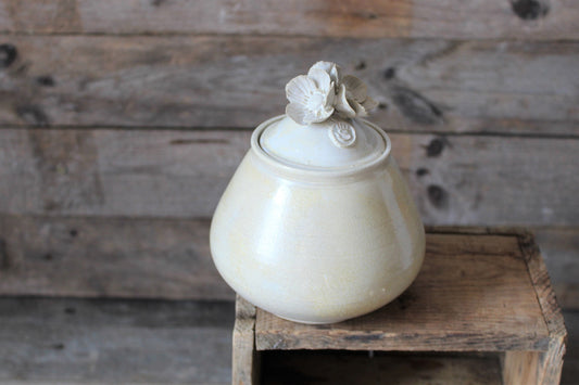 barattolo in gres avorio con fiori anemone sul coperchio