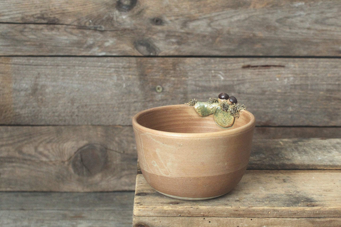 Ciotola in gres decorata con funghi porcini e muschio