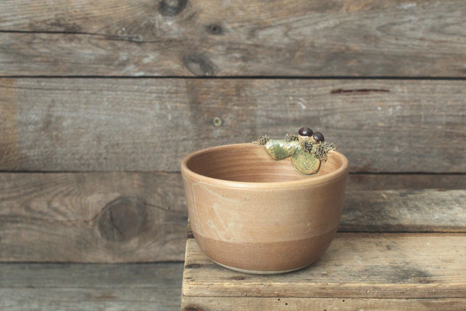 Ciotola in gres decorata con funghi porcini e muschio