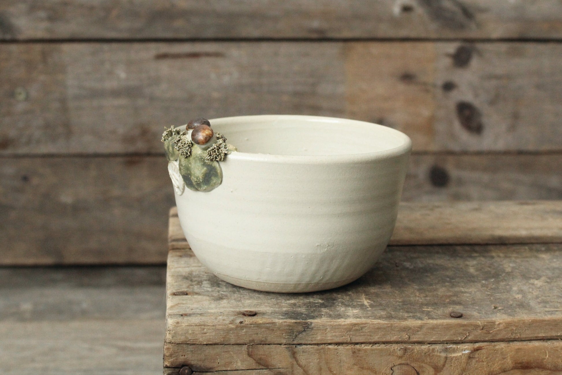 Ciotola in gres decorata con funghi porcini e muschio