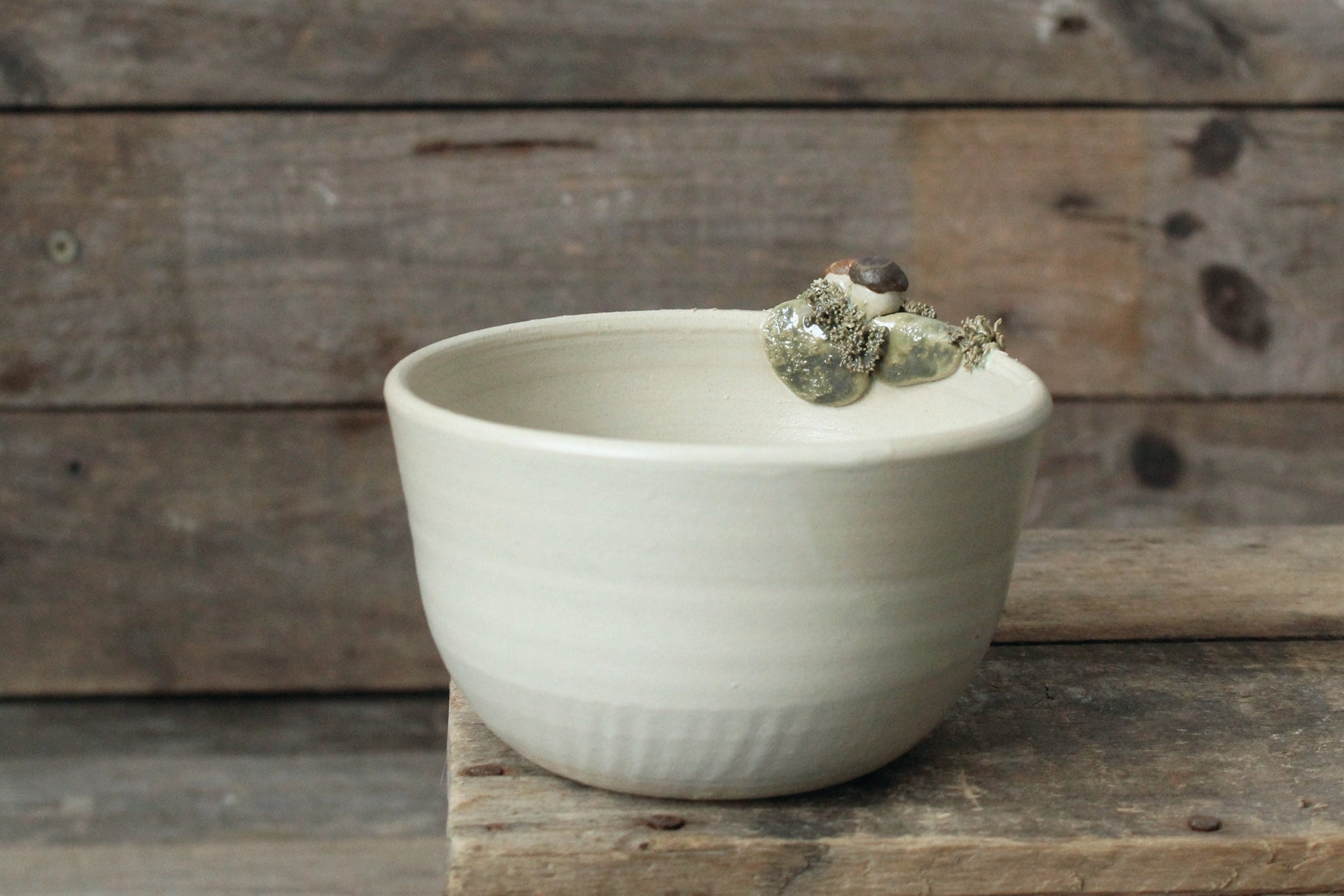 Ciotola in gres decorata con funghi porcini e muschio