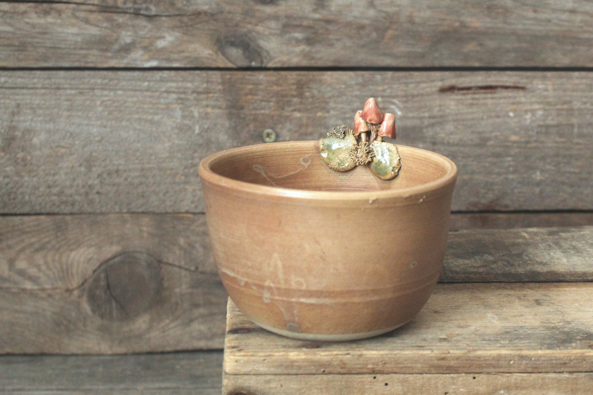 ciotola funghetti rosa e smalto scuro