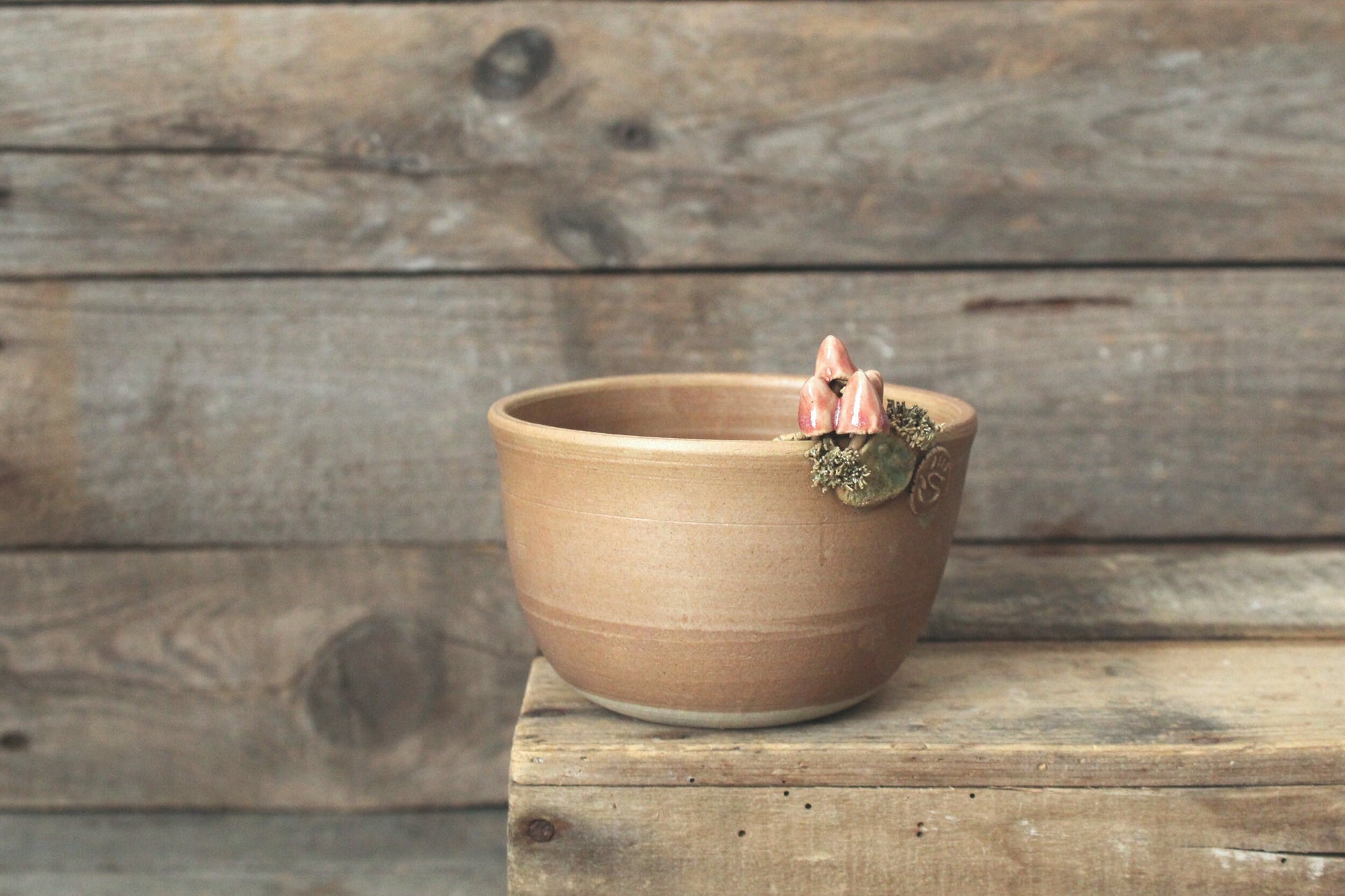 ciotola funghetti rosa e smalto scuro