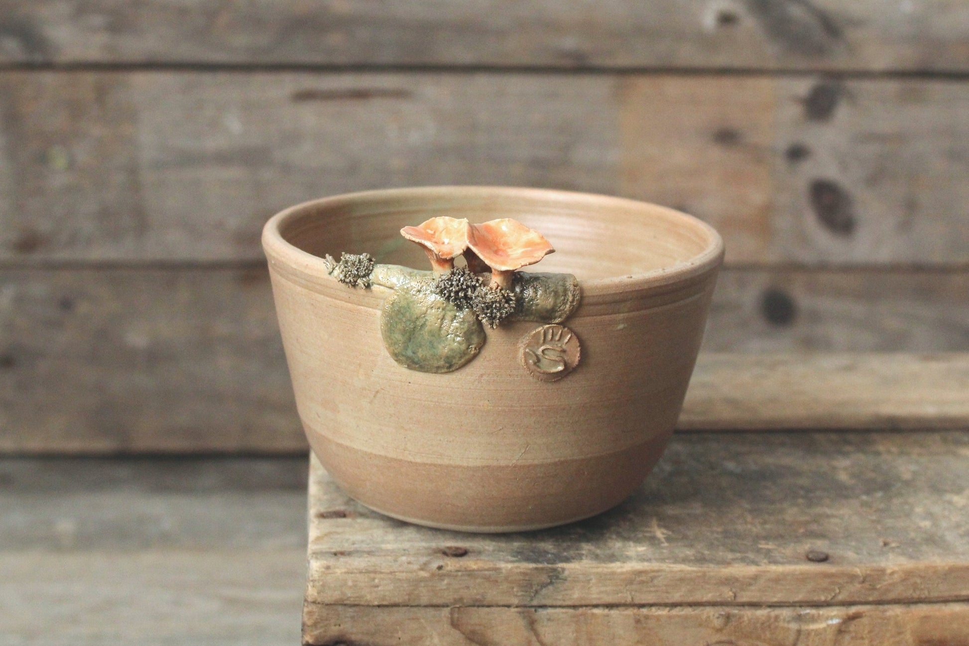 ciotola con cantharellus e muschio smalto scuro