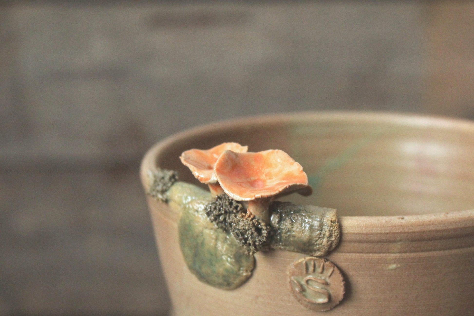 ciotola con cantharellus e muschio smalto scuro