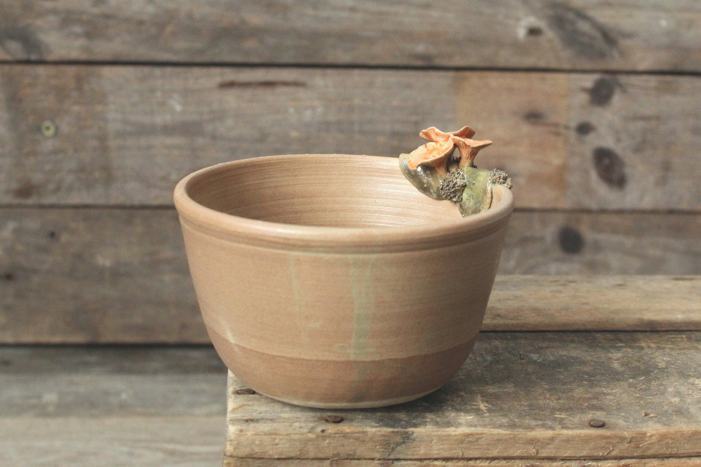 ciotola con cantharellus e muschio smalto scuro