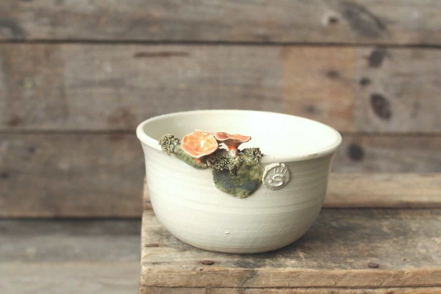 ciotola con cantharellus e muschio smalto chiaro