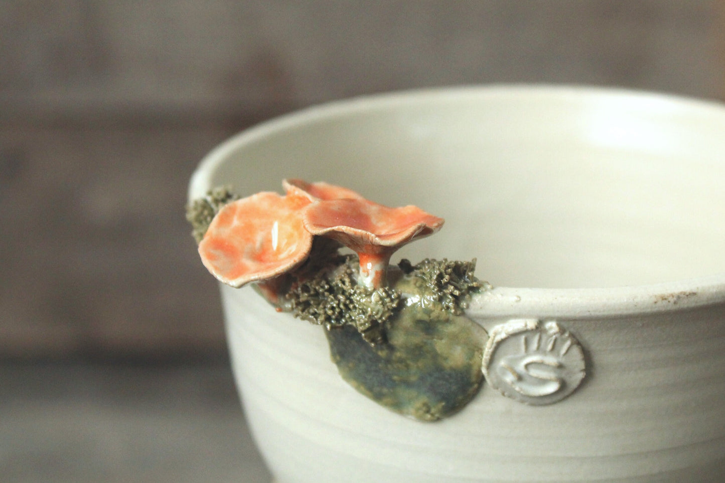 ciotola con cantharellus e muschio smalto chiaro