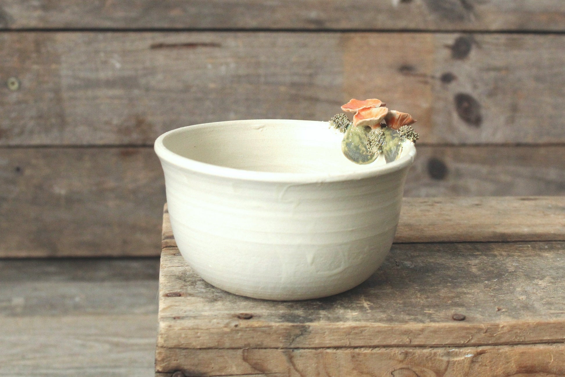 ciotola con cantharellus e muschio smalto chiaro