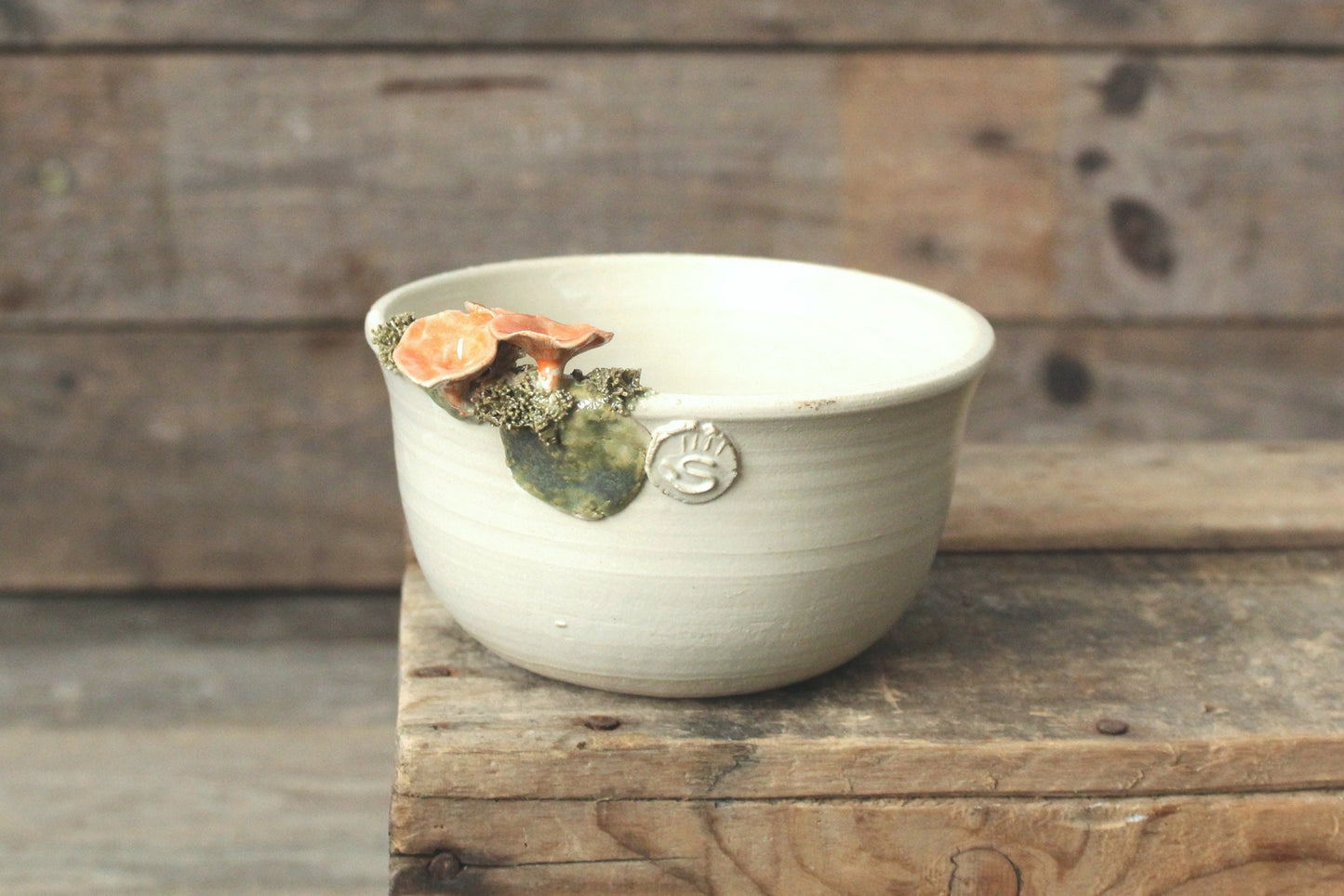 ciotola con cantharellus e muschio smalto chiaro