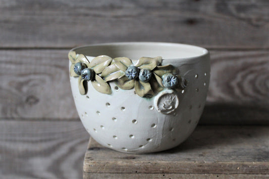 ciotola scola frutti di bosco con mirtilli