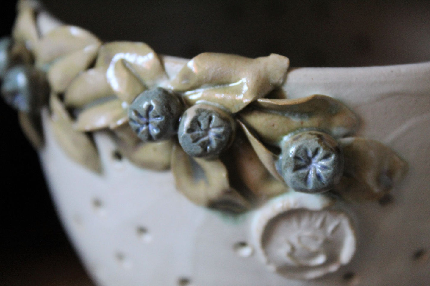 ciotola porta frutta con mirtilli